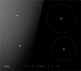 Induktionsfeld Reparatur Bad Nauheim